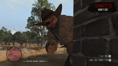 Vigilantes Instead of Lawmen
