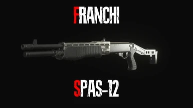 Franchi Spas-12