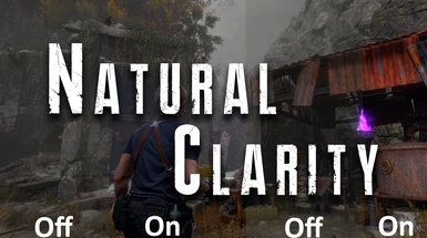 RE4 Re - Natural Clarity ReShades