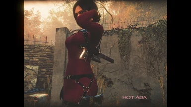 Ada's Beautiful Holsters and Weapons Fix