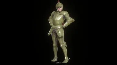 1.1: New Yellow option for the main armor!