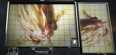 Case 29