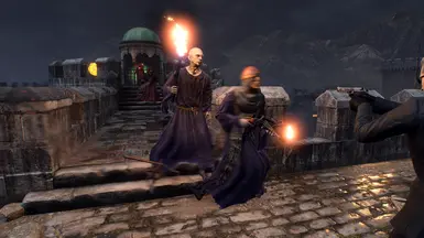 Normal Zealots color variation