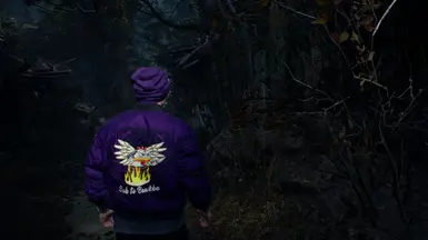 Bawk Jacket - Casual