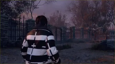 Stripes