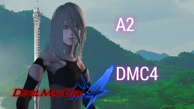 A2 - DMC4