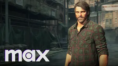 MAX TV show Joel's green shirt colors