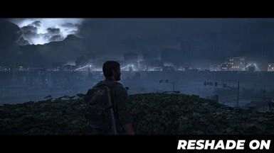 Reshade For All Games (TLOU1)