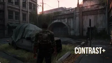 HUD - The Last of Us