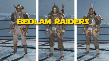 Bedlam Raider Outfits (Outfit Manager)