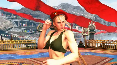 FMC - Street fighter IV - Mod Skins - Cammy bikini / Barlog w&b