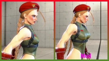 Bigger Breast for Cammy Classic Suit