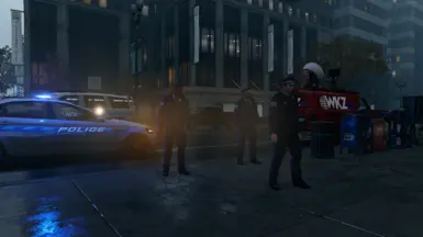 Cops as bodyguards