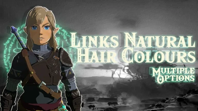 Links Natural Hair Colours at The Legend of Zelda: Tears of the Kingdom ...