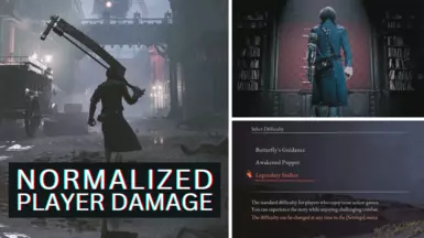 Normalized Player Damage