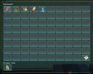 Bigger Player Inventory Size