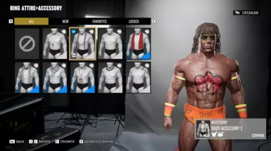 ULTIMATE WARRIOR