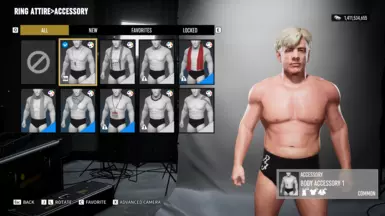 RIC FLAIR '91