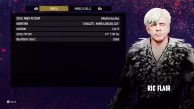 Nature Boy Ric Flair Character Profile