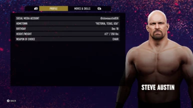 Stone Cold Steve Austin Character Profile