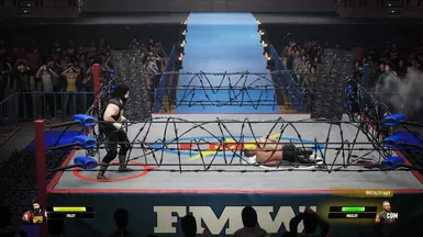 Frontier Martial-Arts Wrestling AKA FMW CAA Textures