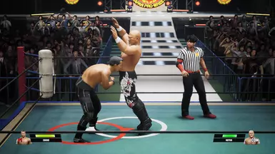 NJPW Referee Red Shoes (Dabas)