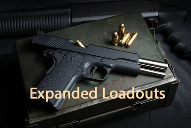 Expanded Loadouts