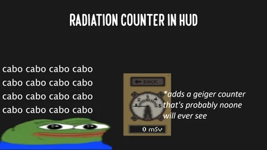 Radiation Counter in HUD