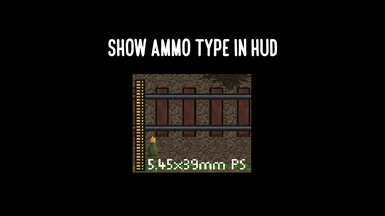 Show Ammo Type in HUD