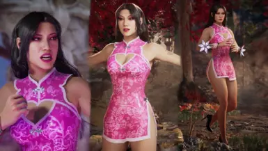 Li Mei Mandarin Dress