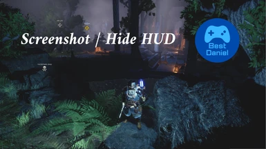 BD Screenshot - Hide HUD