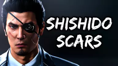 Shishido Scars Makeup