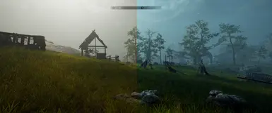 before and after