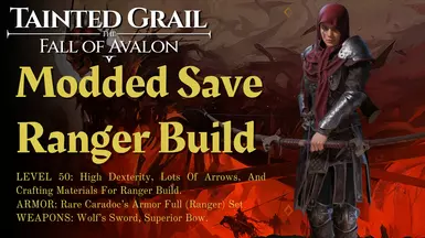 Save File Ranger Build Level 50