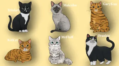 Cats