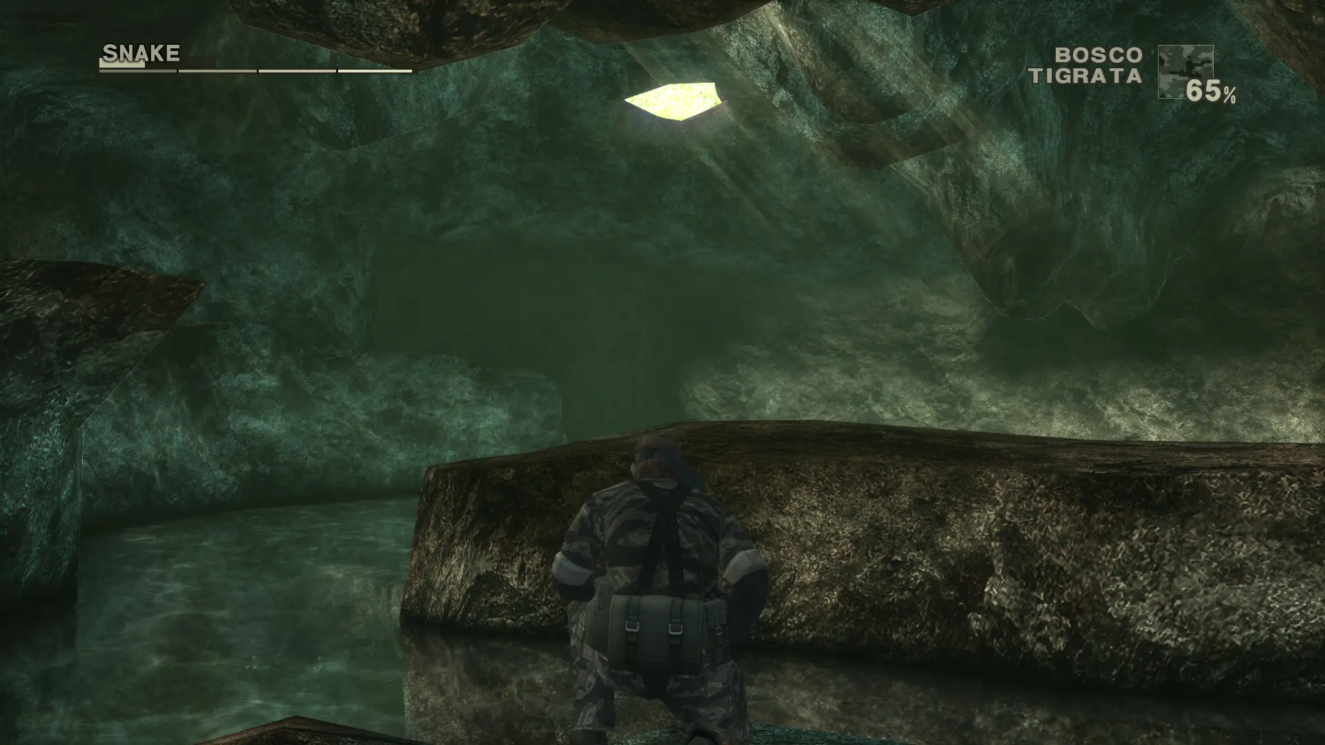 Reshade Visual Graphics Enhnanced Delta at Metal Gear Solid 3: Snake ...