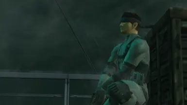 Short Haired Solid Snake