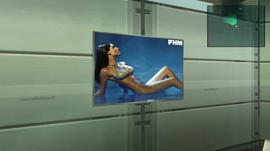MGS2 Restore FHM licensed photos