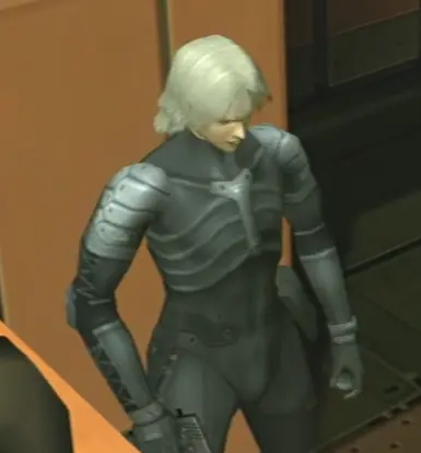 Raiden Silver Hair and Wigs