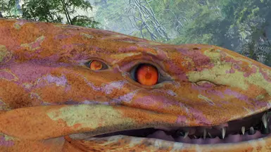 Albino Eyes