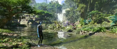 Vanilla