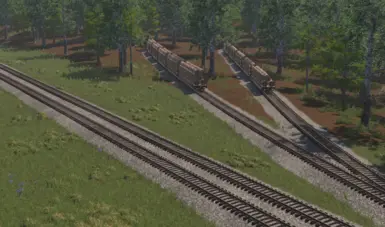 Walker Extensions