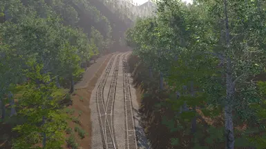 Loaded Tracks