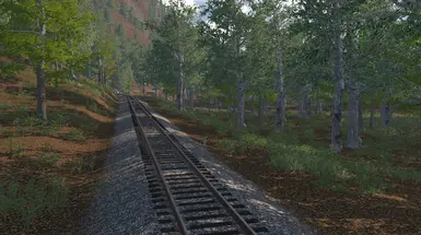 Down the wye track