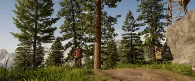 Vanilla