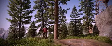 Photo Realistic Ansel Filter