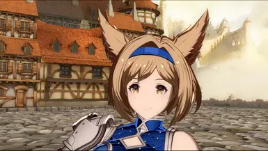 Djeeta Ears