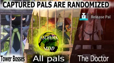 Captured Pal cages Randomized