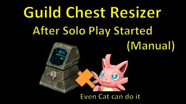 Guild chest resizer after solo play started (Manual)