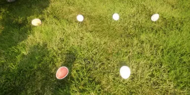 All the Eggs